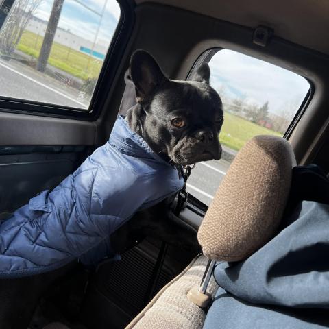 Photo for 143561 [Chencho ]