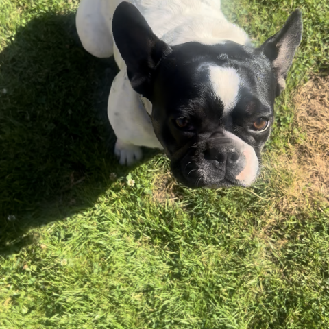 Photo for 143565 [Lola]