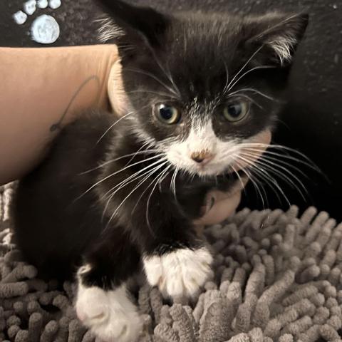 Photo for 143605 [Empanada]