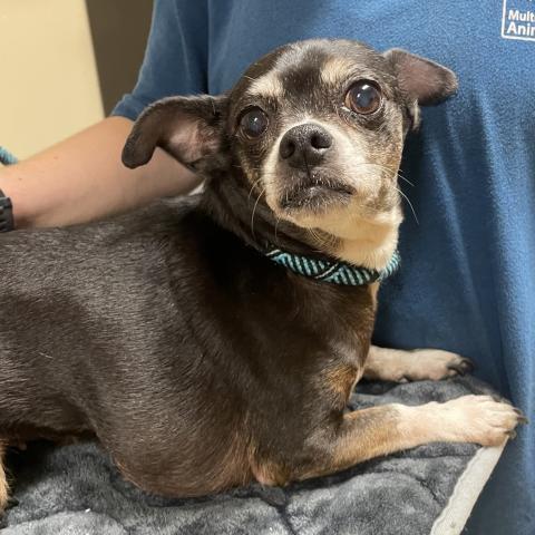 Photo for 143703 [Bitsy]