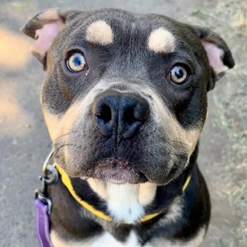 Photo for 144059 [Reeses]