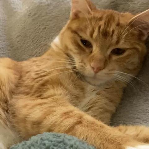 Photo for 144178 [Charlotte]