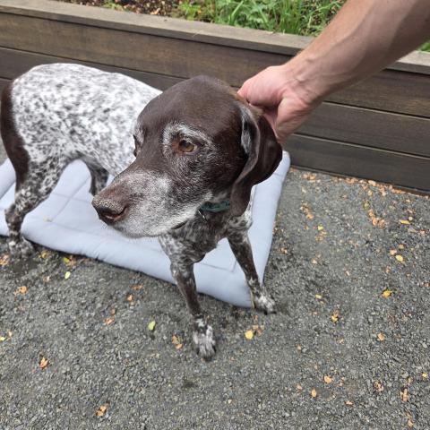 Photo for 145472 [unknown ]