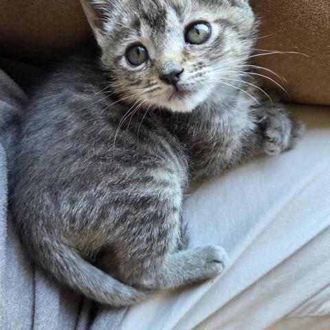 Photo for 145585 [Natasha]