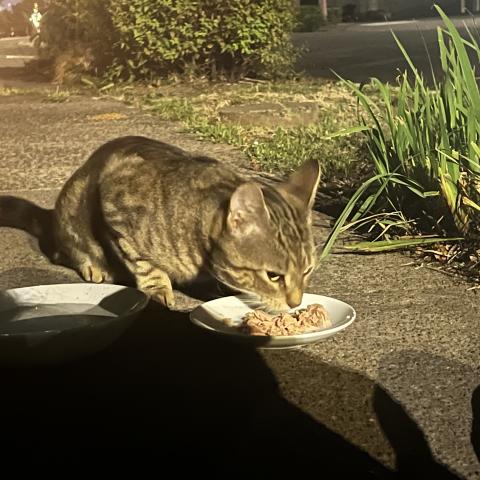 Photo for 145612 [fr145612]