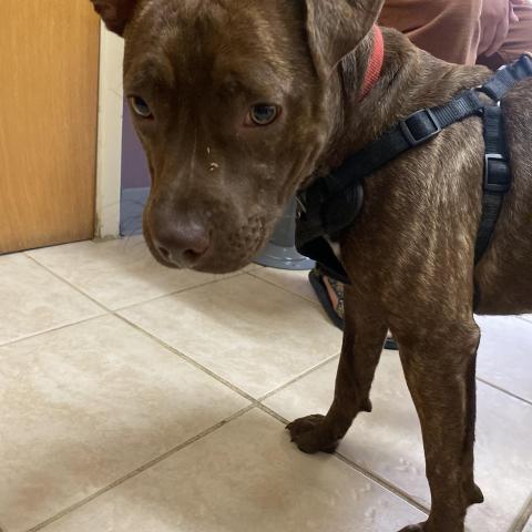 Photo for 145660 [fr145660]