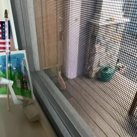 Photo for 145664 [fr145664]