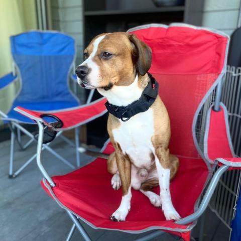 Photo for 145666 [LuWe  ]