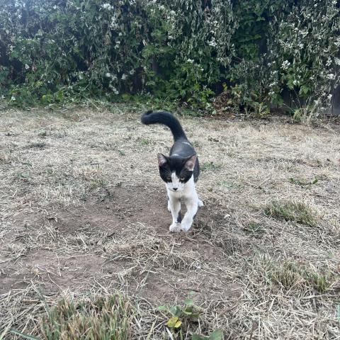 Photo for 145932 [Unknown]