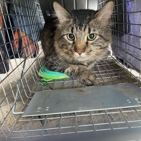 Photo for 145936 [fr145936]