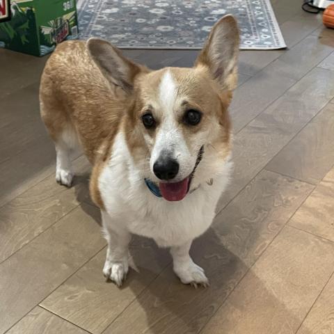 Photo for 145950 [fr145950]