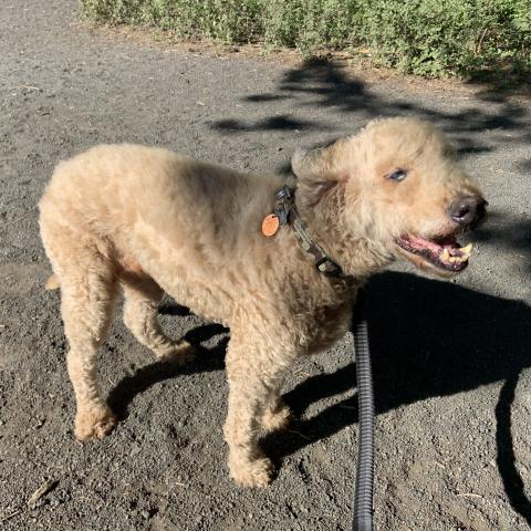 Photo for 146027 [Mona]