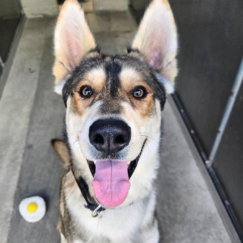 Photo for 146046 [Yosemite]