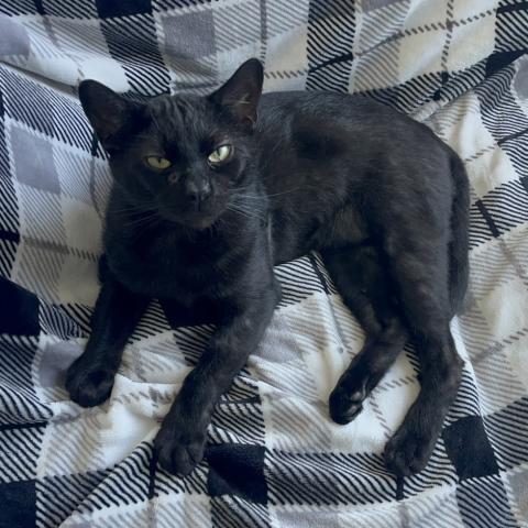 Photo for 146739 [Gabriel]