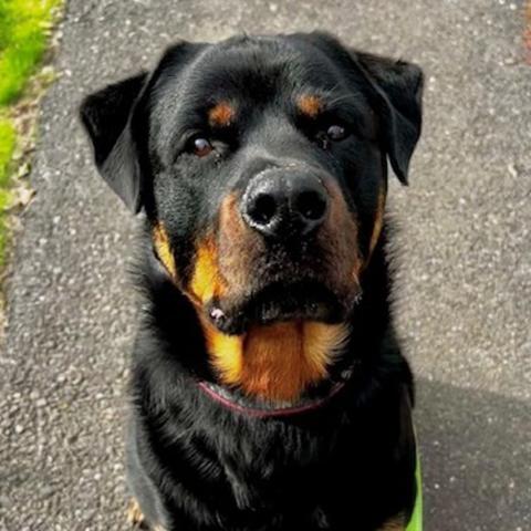 Photo for 147584 [Dutch]