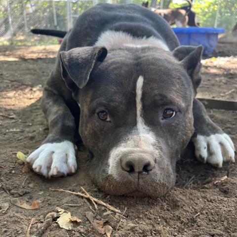 Photo for 147631 [Magic]