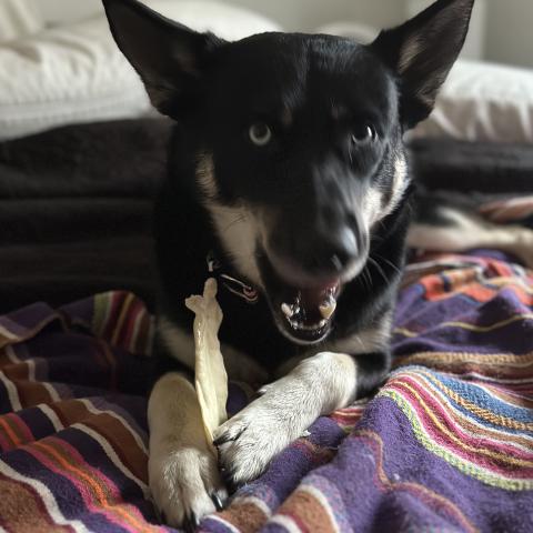 Photo for 148027 [fr148027]