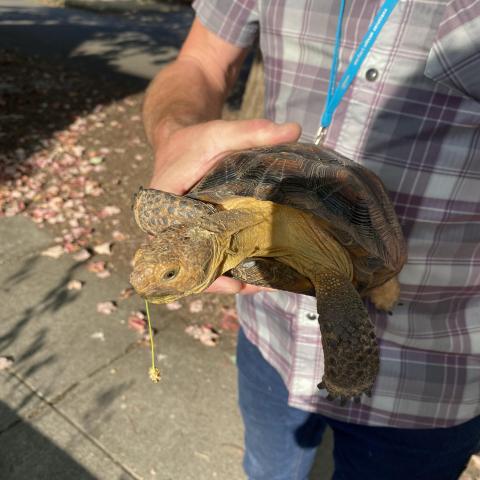 Photo for 148035 [fr148035]