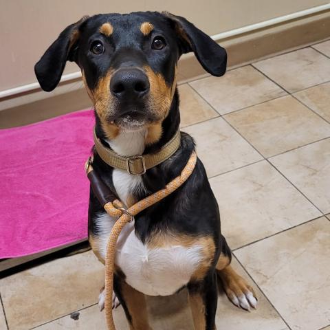 Photo for 148281 [Aries]