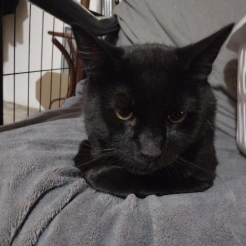 Photo for 148371 [Samuel]