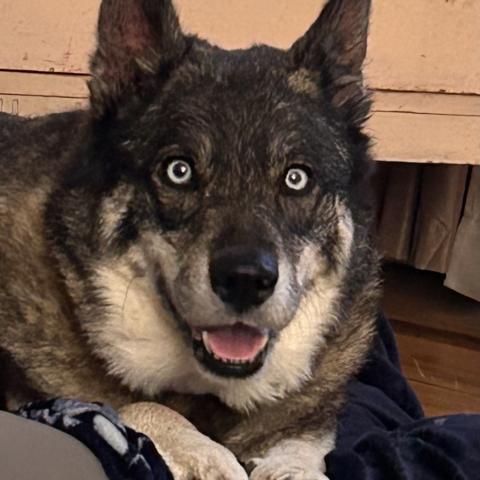 Photo for 148727 [Bombay]