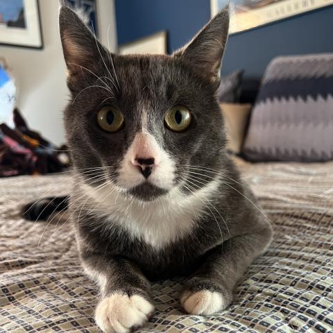 Photo for 148910 [Valerius]