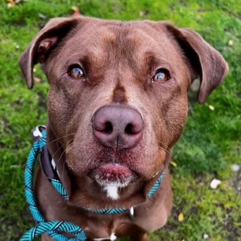 Photo for 148920 [Drake]