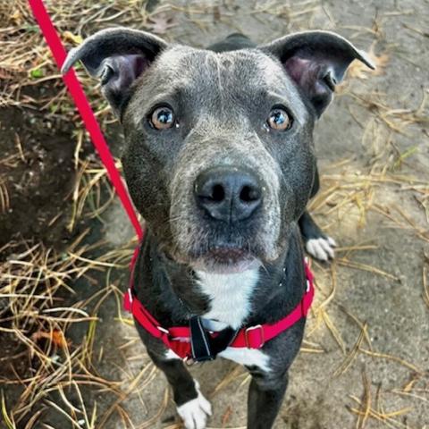 Photo for 149124 [Beldar]