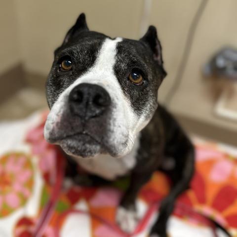 Photo for 149438 [Coda]