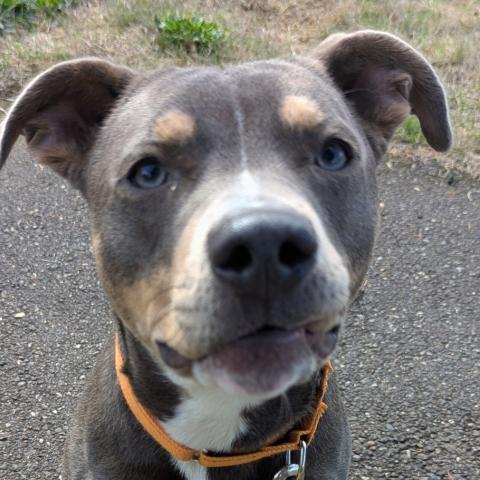 Photo for 149481 [Beavs]