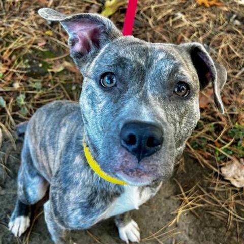 Photo for 149898 [Sunshine]