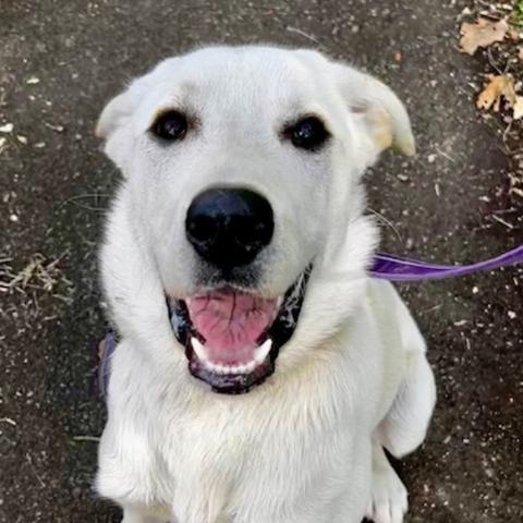 Photo for 149969 [Marley]