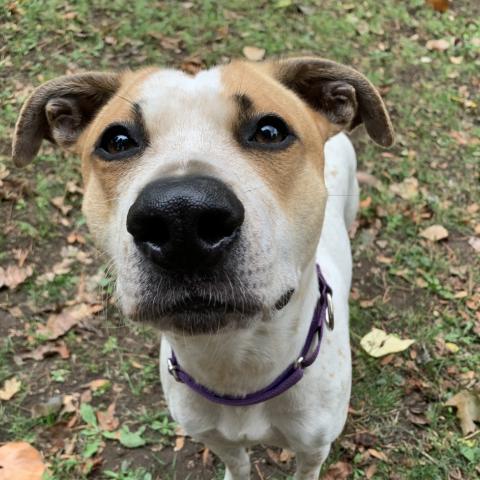 Photo for 150067 [Molly]