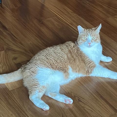 Photo for 150069 [Branch]