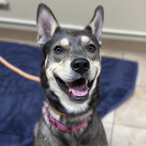 Photo for 150118 [Lucy]