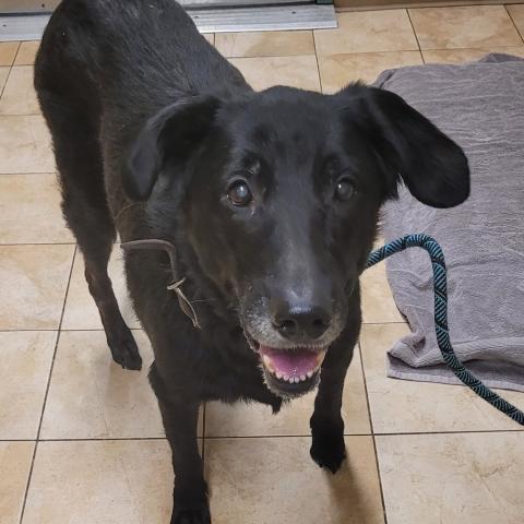 Photo for 150221 [Mina]