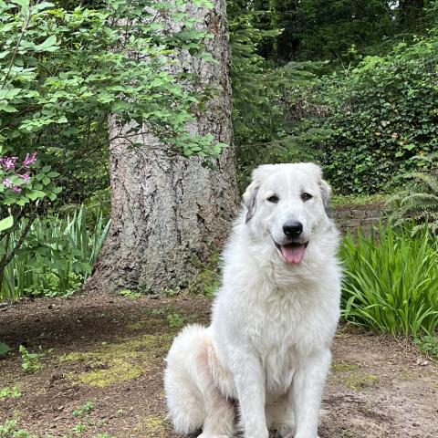 Photo for 150281 [Heidi]