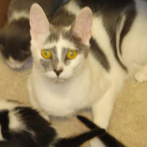 Photo for 150295 [Angel]