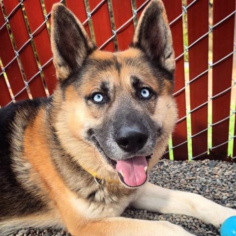 Photo for 150401 [Hex]