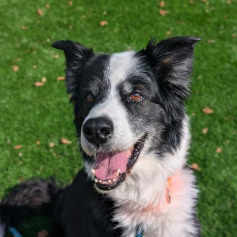 Photo for 150420 [Jax]