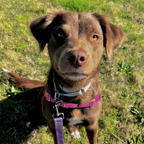 Photo for 150430 [Lilly Monster]