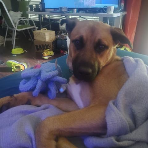 Photo for 150440 [Lucy ]