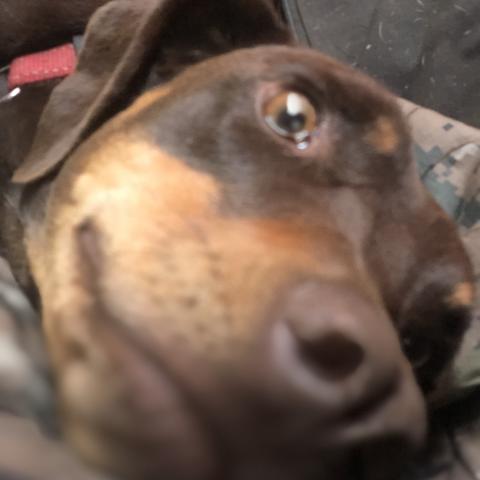 Photo for 150517 [Lucinda]