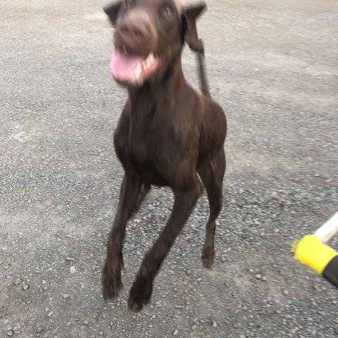 Photo for 150519 [Brawn]