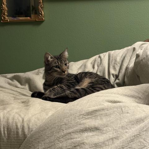 Photo for 150531 [fr150531]