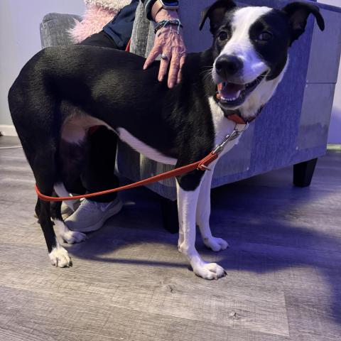 Photo for 150554 [fr150554]