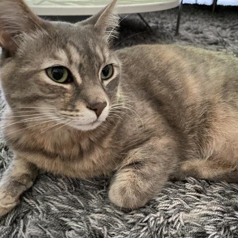 Photo for 150560 [Piper]