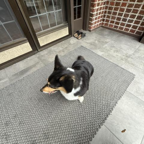 Photo for 150562 [fr150562]