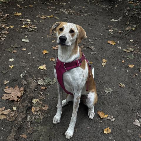 Photo for 150578 [Sandy]