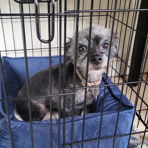 Photo for 150588 [Cherry]